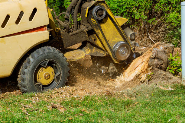 Lawn Watering Services in Alma, GA